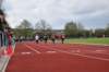 photo388_small.jpg