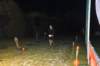 photo303_small.jpg