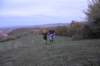 photo315_small.jpg