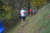 photo265_small.jpg