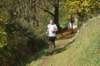 photo337_small.jpg