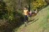 photo347_small.jpg