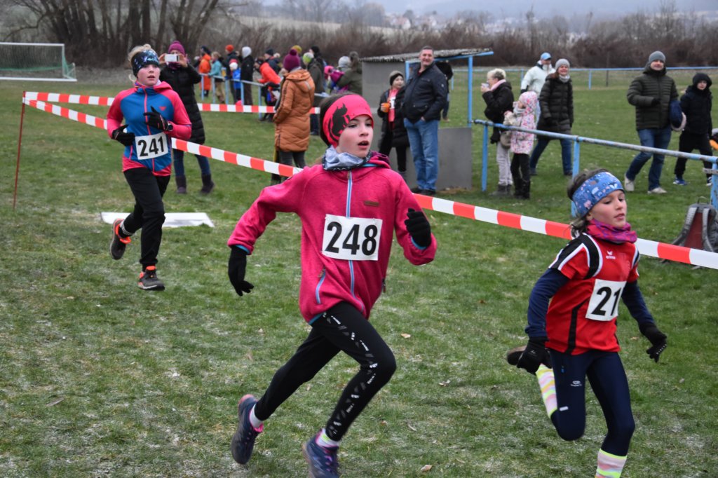 photo201.jpg
