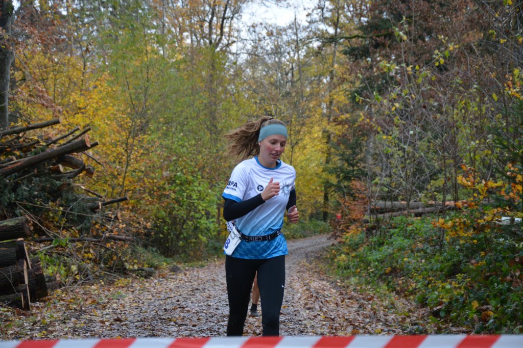 lm1111230034.jpg