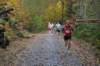 lm1111230039_small.jpg