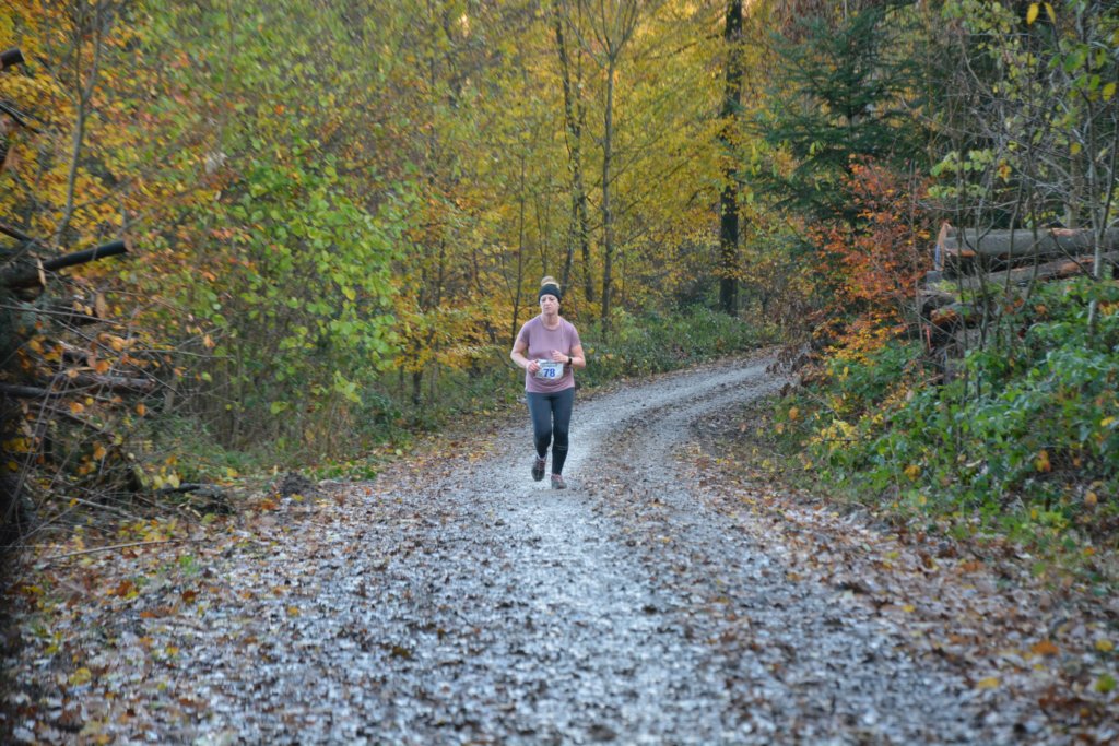 lm1111230169.jpg