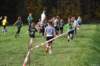 photo326_small.jpg