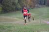 photo355_small.jpg