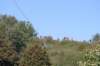 img_5682_small.jpg