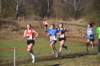 photo390_small.jpg