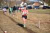 photo466_small.jpg