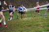 photo130_small.jpg