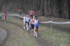 photo217_small.jpg