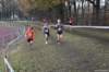 photo257_small.jpg