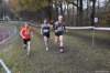 photo258_small.jpg