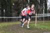 photo315_small.jpg