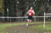 photo316_small.jpg