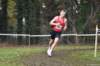 photo317_small.jpg