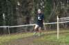 photo326_small.jpg