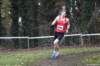 photo335_small.jpg