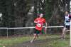 photo336_small.jpg