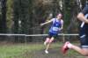 photo339_small.jpg