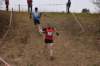 photo270_small.jpg