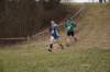 photo286_small.jpg