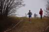 photo305_small.jpg
