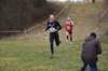 photo326_small.jpg