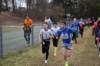 photo47_small.jpg