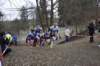 photo136_small.jpg
