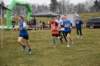 photo184_small.jpg