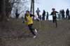 photo220_small.jpg
