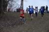 photo228_small.jpg