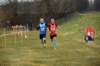 photo330_small.jpg