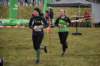 photo81_small.jpg