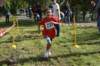 photo155_small.jpg