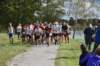 photo303_small.jpg