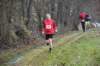 photo488_small.jpg