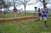 photo260_small.jpg