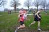 photo540_small.jpg